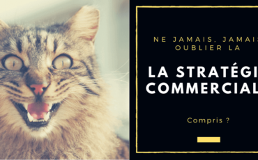 Stratégie commerciale et projet, quel rapport ? – Part. 1
